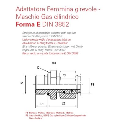 Hrdlo s maticí RADL G1/8 - M12x1,5  WD  tr.06 - obrázek