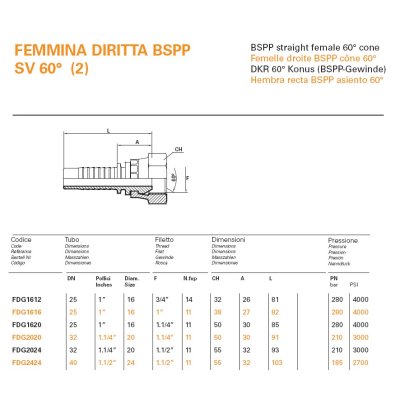 koncovka DKR Dn06  3/8" BSP - C:\Users\Javex\Pictures\DKR KUŽ60- FEMALE BSPP GAS kat.jpg