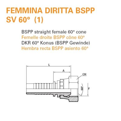 koncovka DKR Dn06  3/8" BSP - obrázek