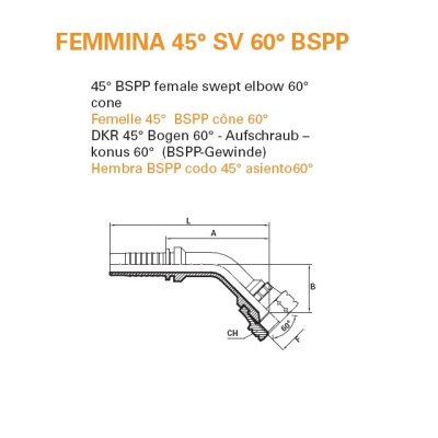 koncovka DKR Dn06  3/8" BSP - obrázek