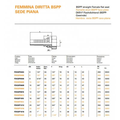 koncovka DKRF Dn08  1/4" BSP - C:\Users\Javex\Pictures\DKR-F FLAT FEMALE BSPP kat.jpg
