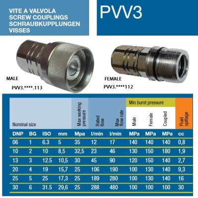 ISO SC rychlospojka zástrčka DN20/IG3/4" ISO 14541 - obrázek