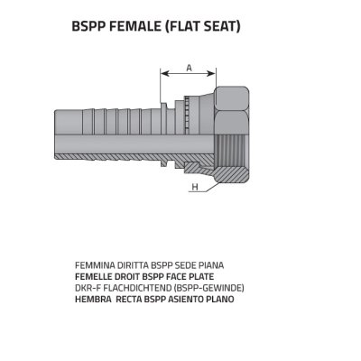 koncovka DKRF Dn16  3/4" BSP - obrázek