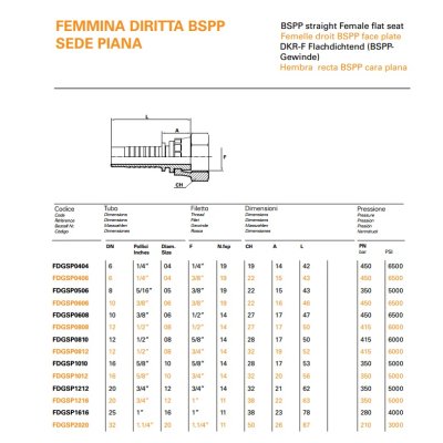 koncovka DKRF Dn16  3/4" BSP - C:\Users\Javex\Pictures\DKR-F FLAT FEMALE BSPP kat.jpg
