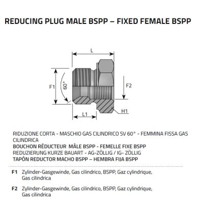 Redukce ocel. L G 1/4˝-G 3/4˝ BSP - obrázek