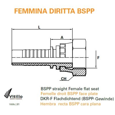koncovka DKRF Dn19  1" BSP - obrázek
