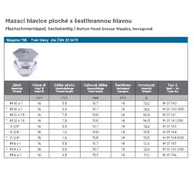 mazací hlavice plochá  s šestihranou hlavou G1/4" T1B - obrázek